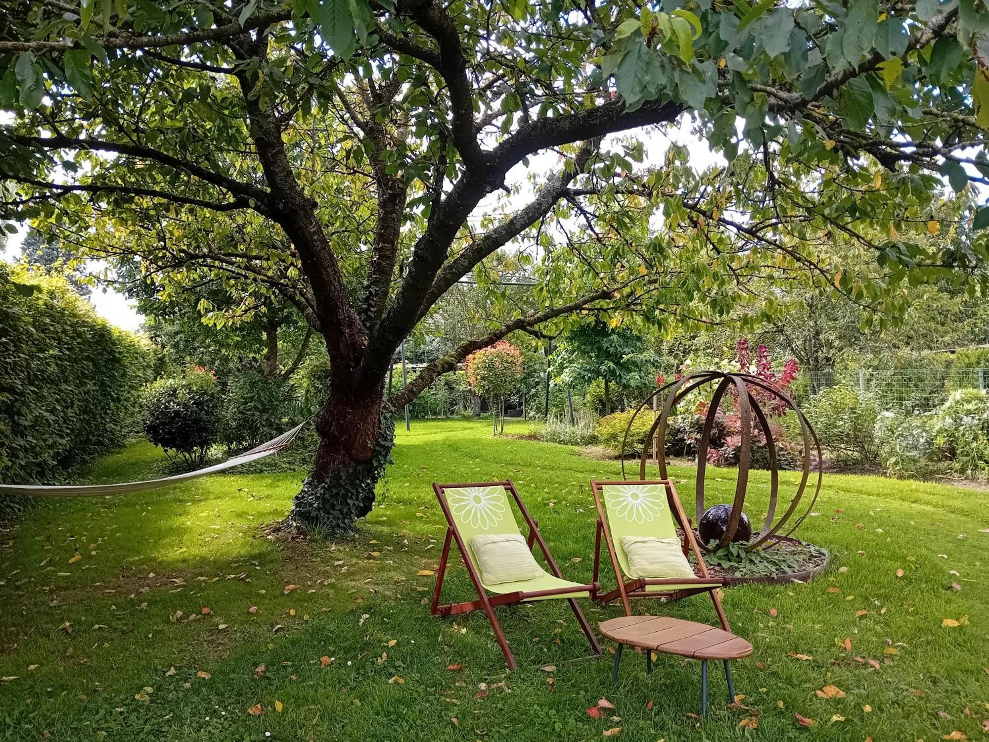 Au Champ Du Coq Bed & Breakfast Sepmeries Ngoại thất bức ảnh